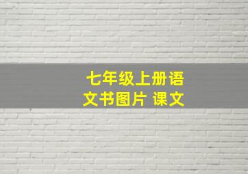 七年级上册语文书图片 课文